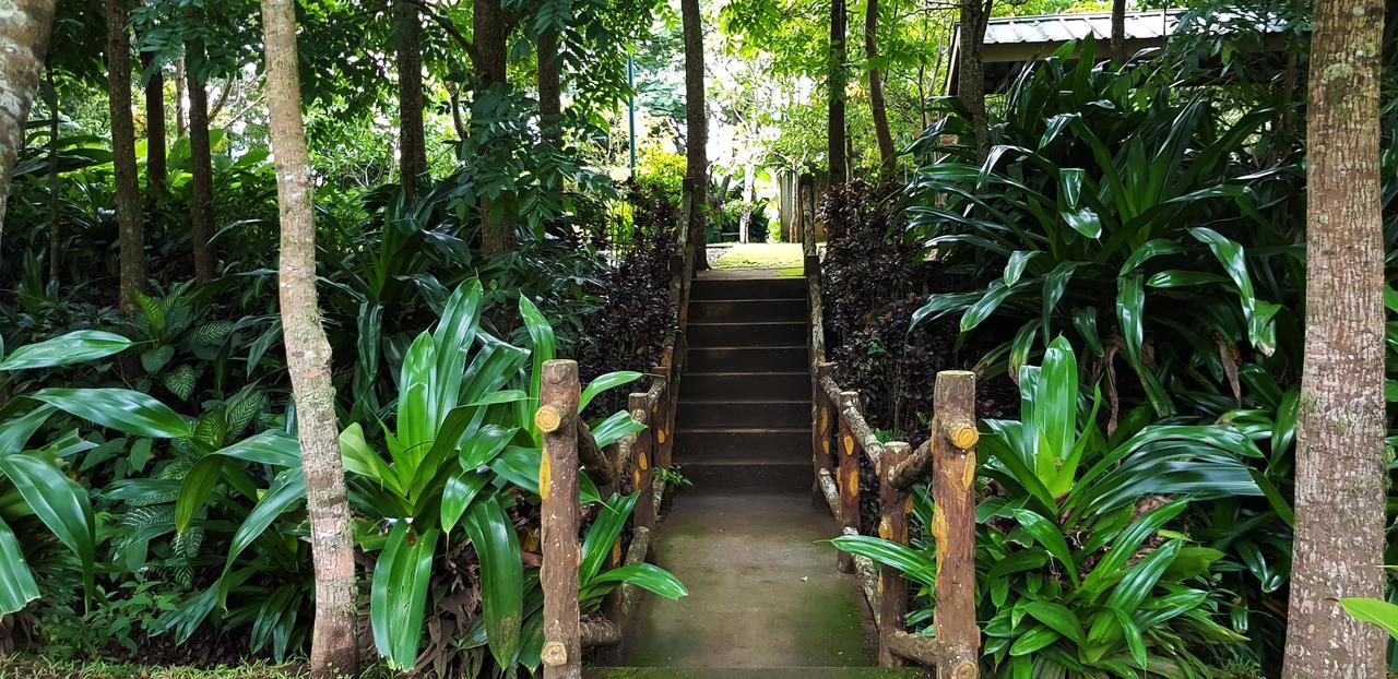 Tagaytay Summer House Tagaytay City Exteriér fotografie
